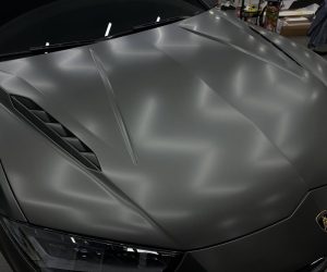 람보르기니 우루스 퍼포만테 무광 (1)